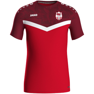 TEESHIRT ICONIC JAKO SPORT 6124