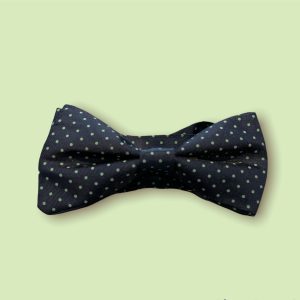 Noeud papillon à pois
