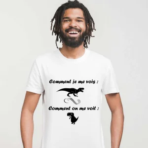 T-shirt Homme Dinosaure Comment je me vois VS Comment on me voit