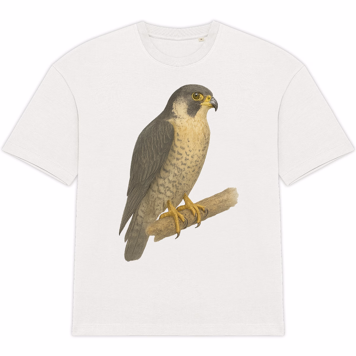 T-shirt Faucon Pèlerin Oversized bio unisexe – Image 4